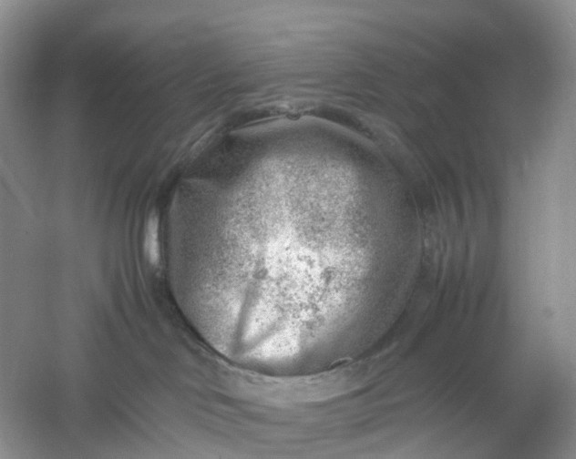 X0000061110046200512022137