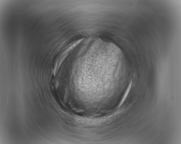 X0000061110048200512022137