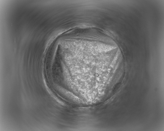 X0000061110049200512022136