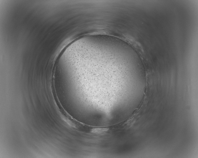 X0000061110051200512022136