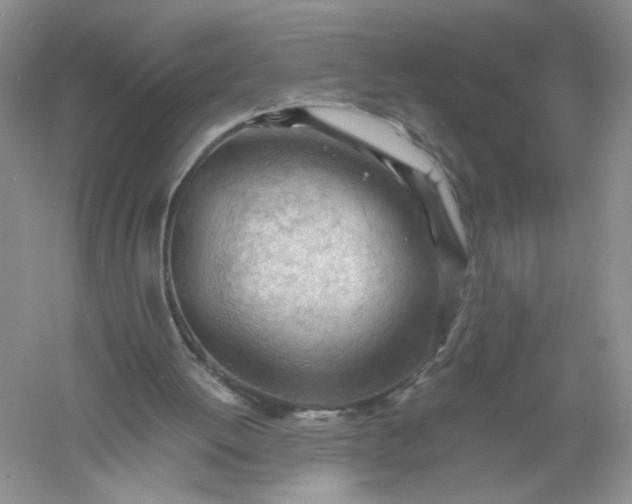 X0000061110052200512022136