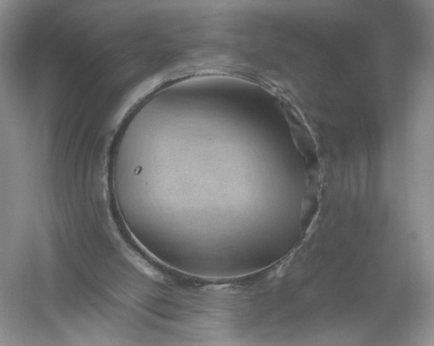 X0000061110054200512022136