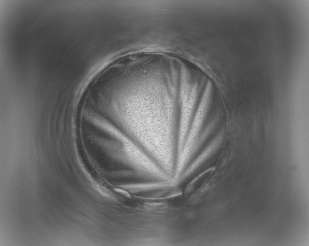 X0000061110055200512022136