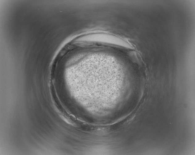 X0000061110056200512022136