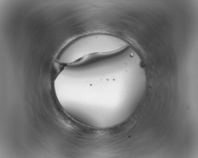 X0000061110060200512022136