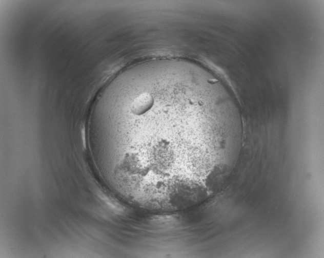 X0000061110061200512022136