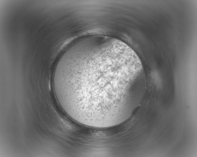 X0000061110062200512022136