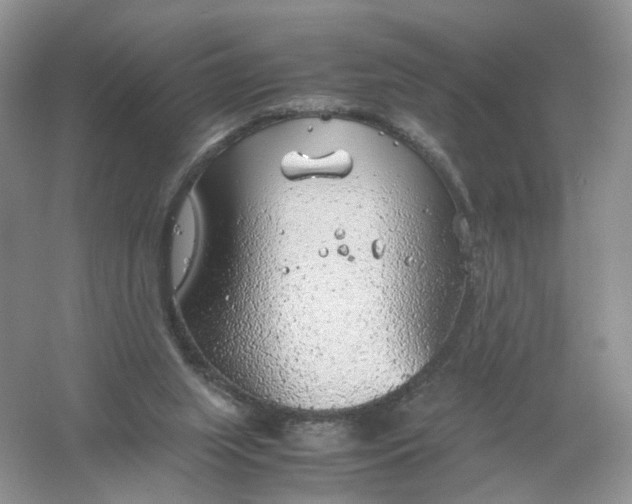 X0000061110063200512022136