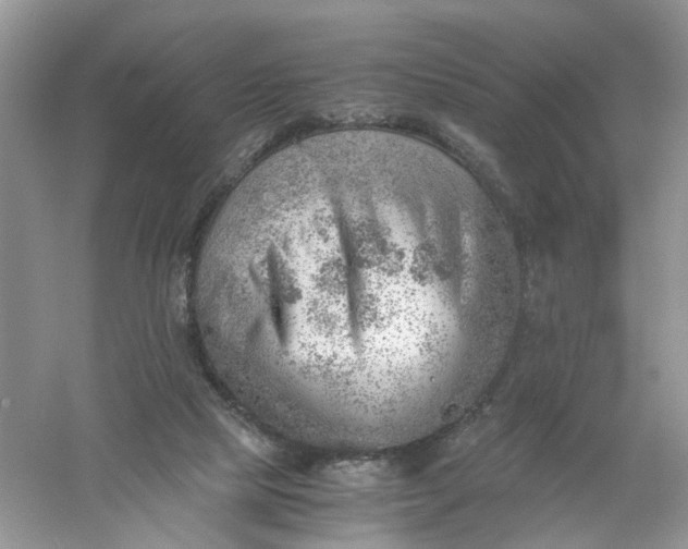 X0000061110065200512022136