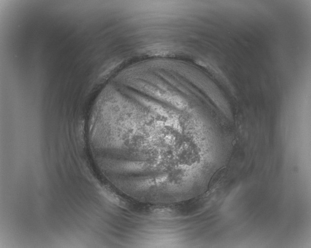 X0000061110066200512022137