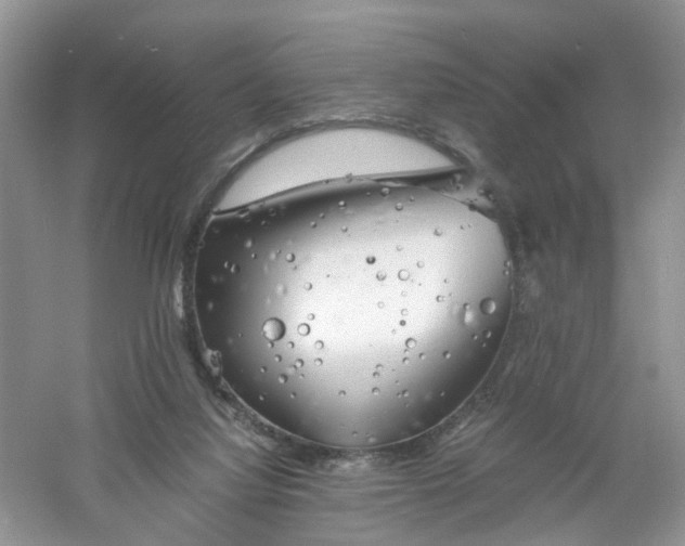 X0000061110068200512022137