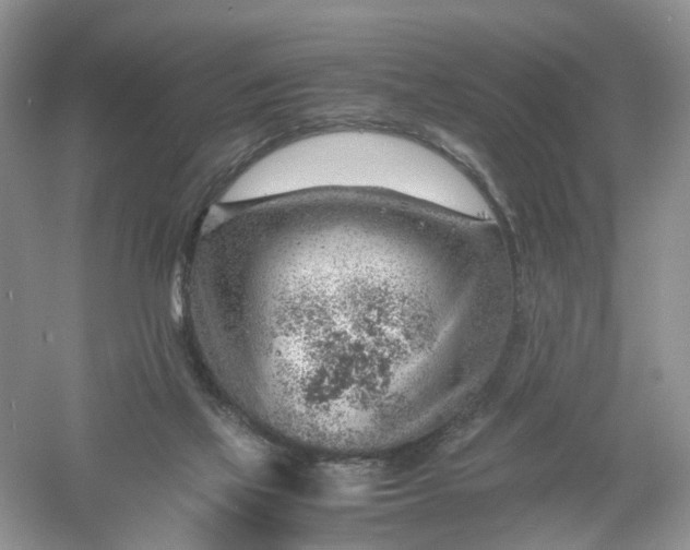 X0000061110069200512022137