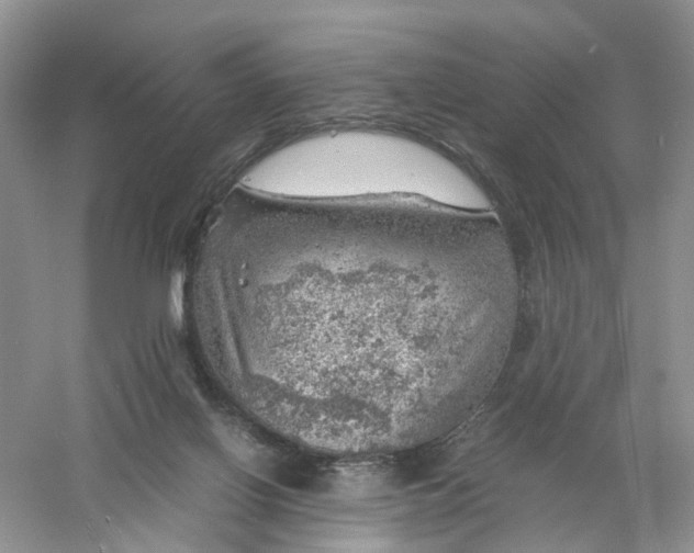 X0000061110070200512022137