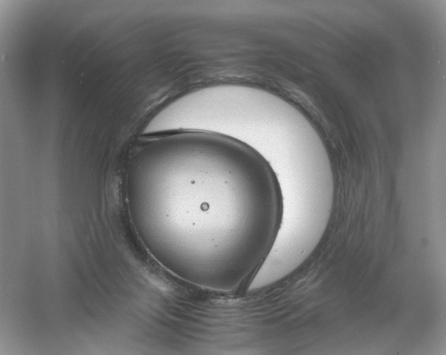 X0000061110071200512022137