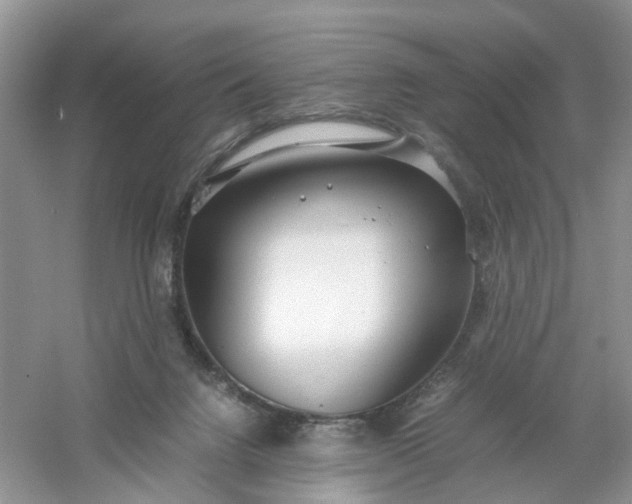 X0000061110072200512022137