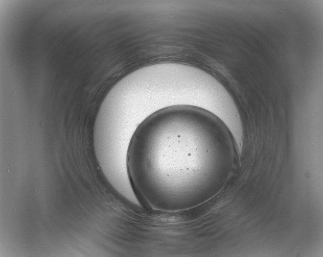 X0000061110073200512022137