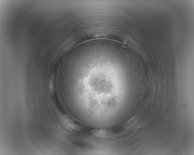 X0000061110074200512022137