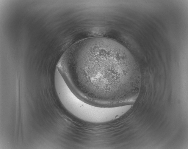 X0000061110075200512022137