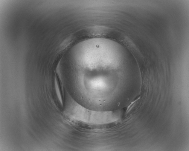 X0000061110076200512022137