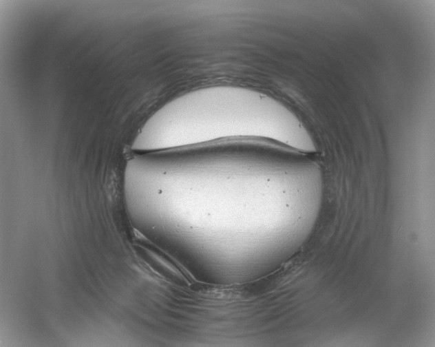 X0000061110077200512022137