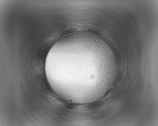 X0000061110078200512022137