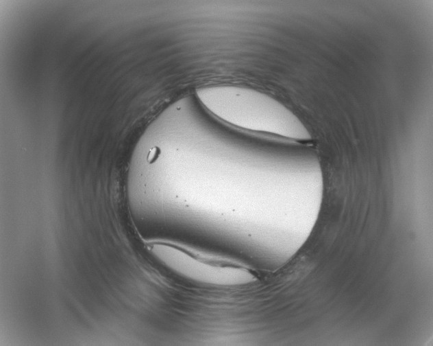 X0000061110080200512022137