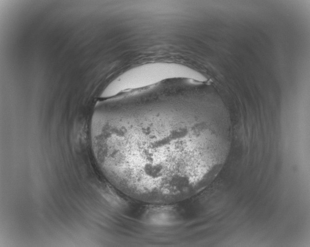 X0000061110081200512022137