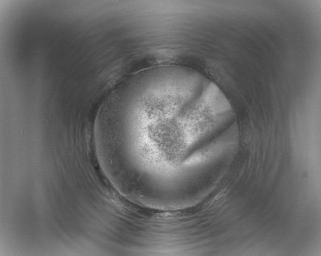 X0000061110082200512022137