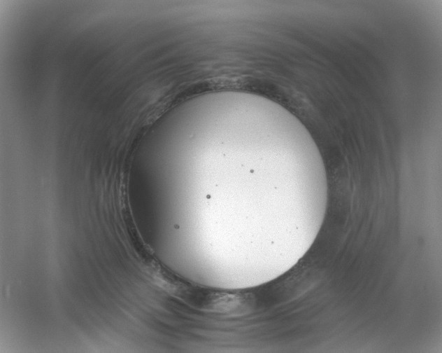 X0000061110083200512022137