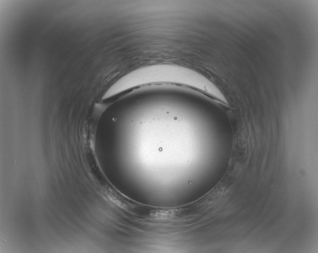 X0000061110084200512022137