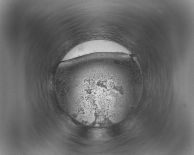 X0000061110085200512022137