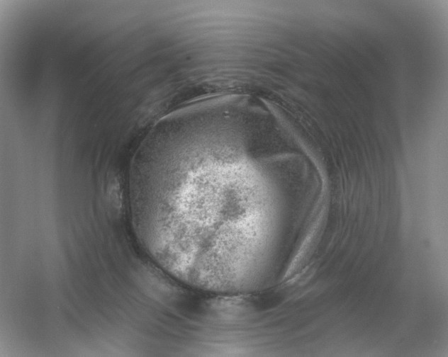 X0000061110086200512022137