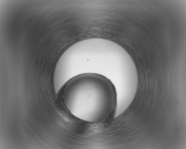 X0000061110088200512022137