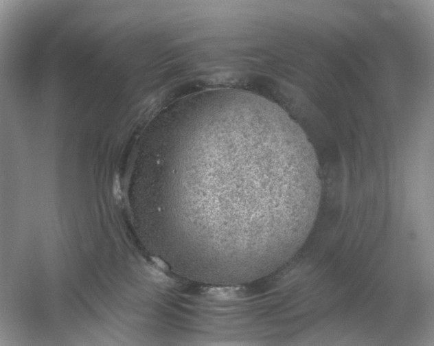 X0000061110089200512022137