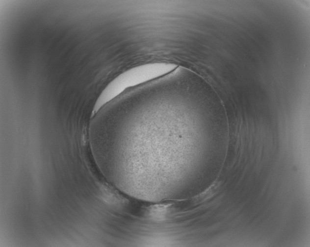 X0000061110090200512022137