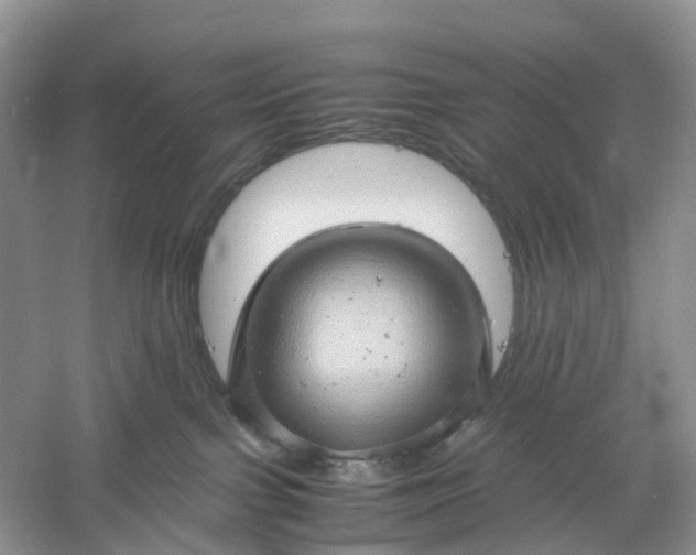 X0000061110091200512022137