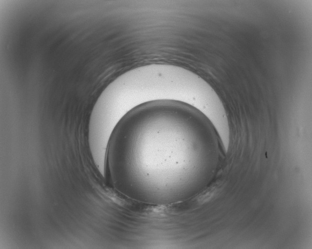 X0000061110092200512022137