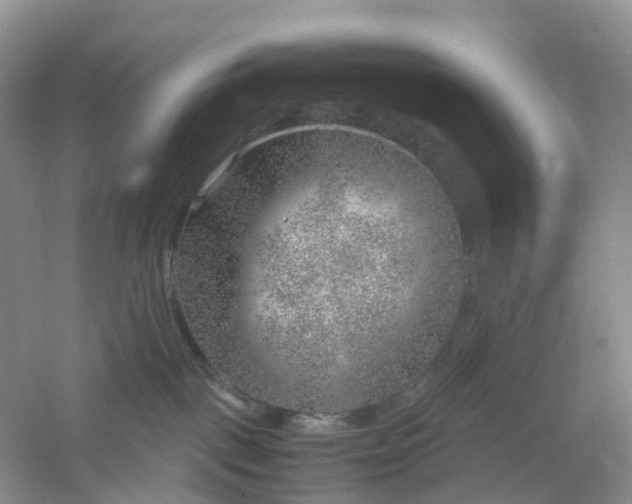 X0000061110093200512022137