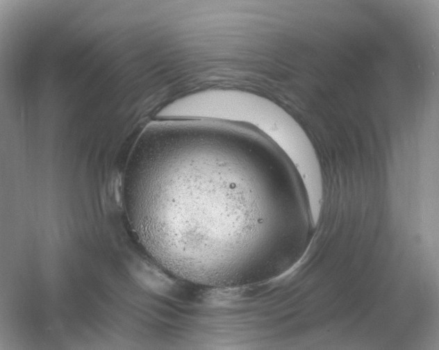 X0000061110094200512022137