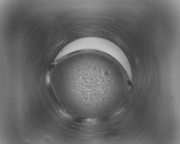 X0000061110095200512022137