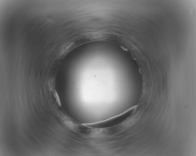 X0000061110096200512022137