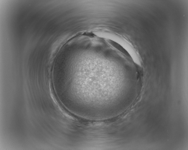 X0000061110097200512022136