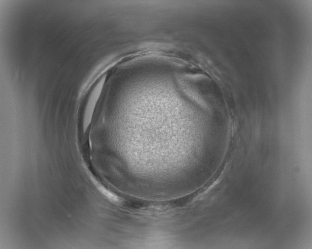 X0000061110101200512022136