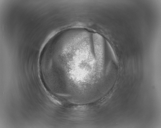 X0000061110102200512022136