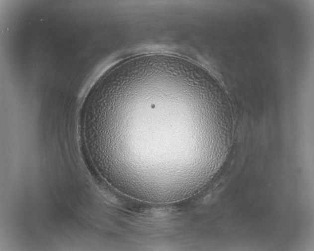 X0000061110103200512022136