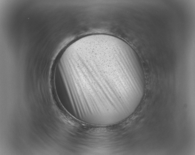 X0000061110104200512022136