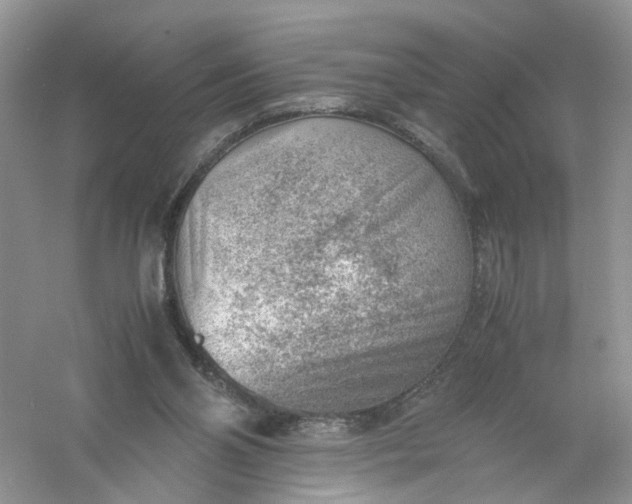 X0000061110110200512022136