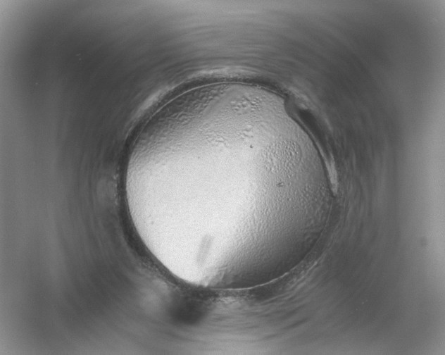 X0000061110111200512022136