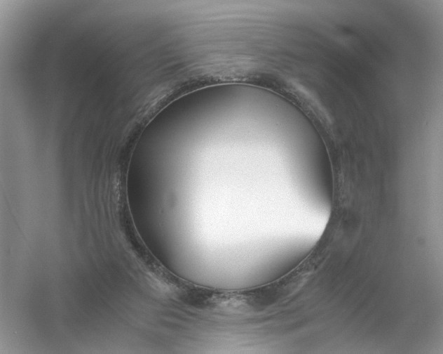 X0000061110113200512022136