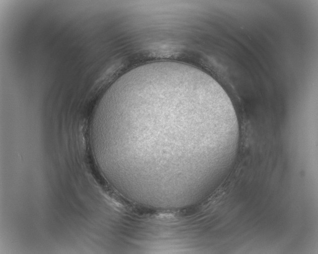 X0000061110114200512022136